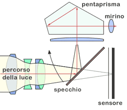 reflex animazione