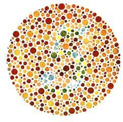 test colori