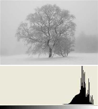 istogramma neve e nebbia
