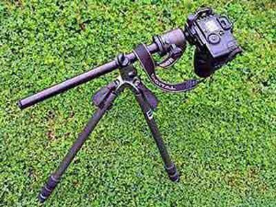 treppiede