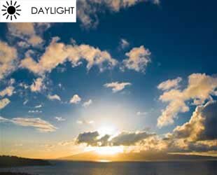 daylight sole