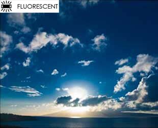 fluorescente